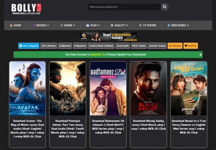 BollyFlix Guru: Your Ultimate Guide to Streaming Bollywood Movies Like a Pro