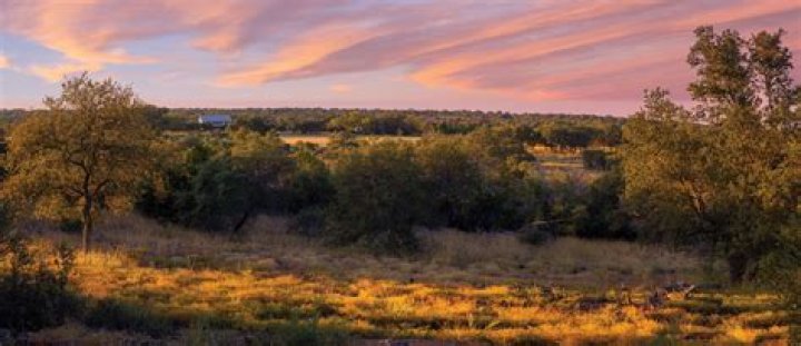 Discover Ambar - Arlington: A Hidden Gem in the Heart of Texas