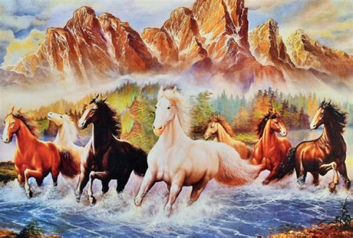 Kyla Dodds Riding: The Ultimate Guide to Her Career, Horses, and Passion