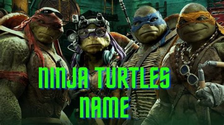 The Ninja Turtles Names: A Comprehensive Guide to the Legendary Heroes