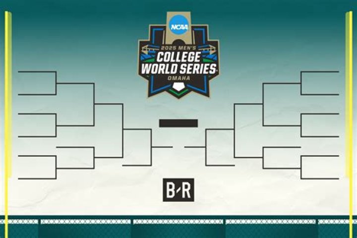 WCWS.Bracket: Understanding the World Cup of Web Series Brackets